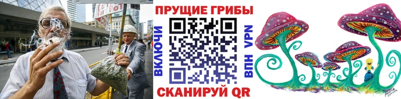 Купить  Жуковский  Псилоцибиновые грибы мицелий 