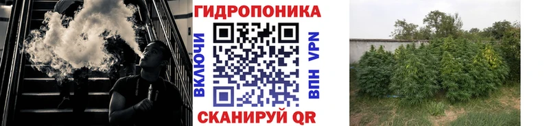 Каннабис THC 21%  Купить где  Жуковский 